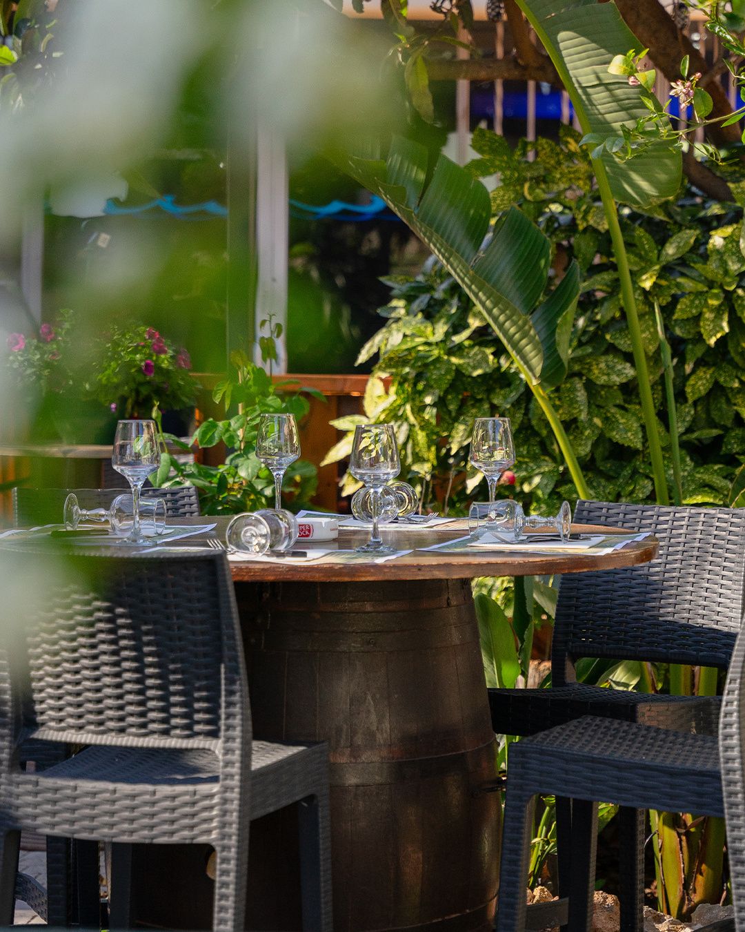 On profite du retour des beaux jours dans le jardin du patio de notre restaurant en centre ville ☀...